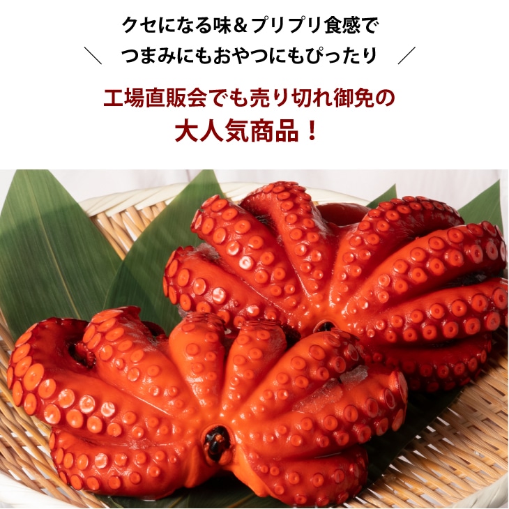 産地直送 【まるごと味付タコ 2杯 計約800g】 九州 お取り寄せ 手土産