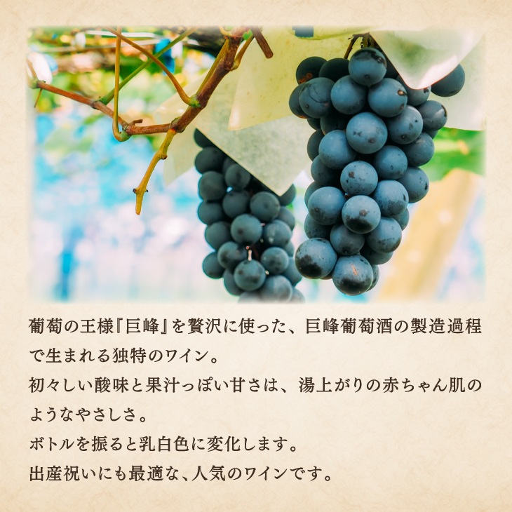 産地直送「オリジナルラベル ワインの赤ちゃん」500ml 巨峰 果実酒