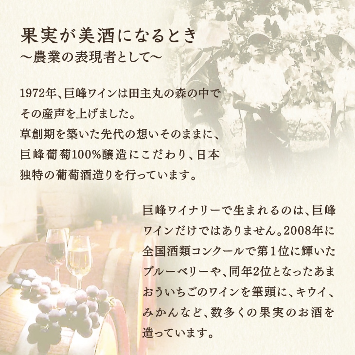 産地直送「オリジナルラベル ワインの赤ちゃん」500ml 巨峰 果実酒