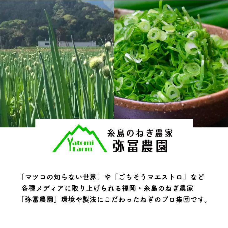 糸島ねぎ農家セット】万能旨味調味料 糸島 ねぎ スープ パスタ ねぎ油