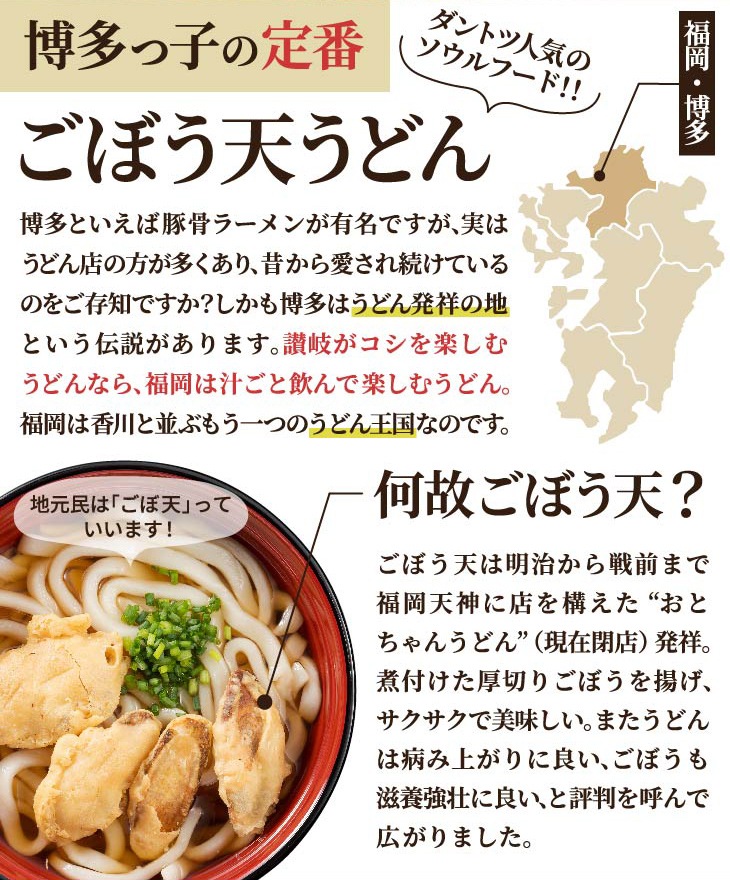 博多 ごぼう天うどん 2人前 （あごだしスープ・うどん麺・ごぼう天付き）【送料無料】