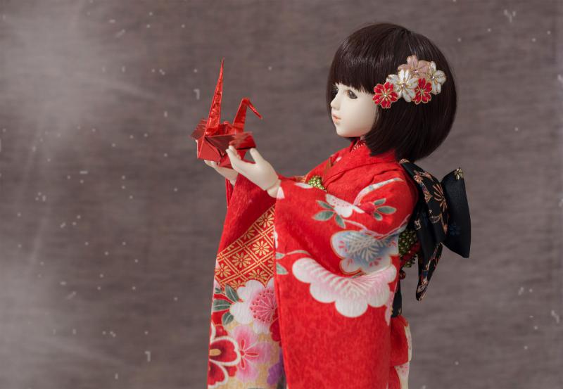 着物9点セット(熨斗に牡丹・赤)