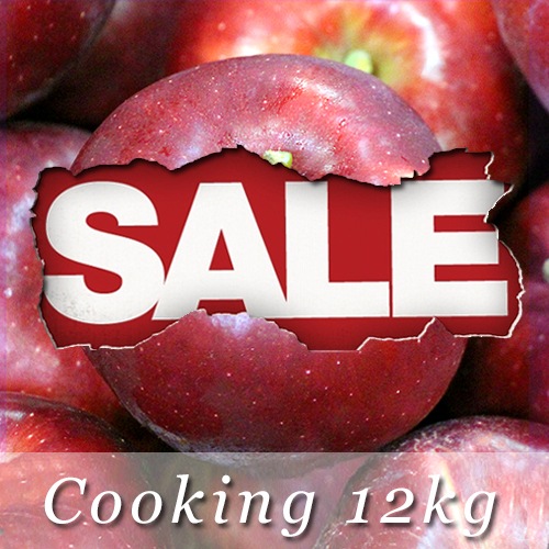 �ù��ѹȶ̡���12������40-60������