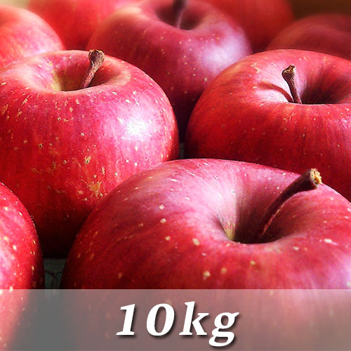 ����դ���10����