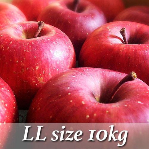 ����դ������硡10������18��24������