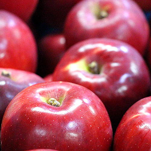 �ȶ̡���4������13-25������