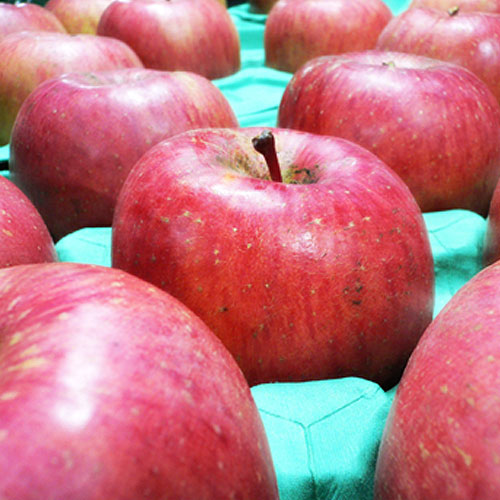 ����դ�����3������5��9������