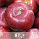 �ȶ̡���8������26-50������