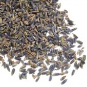 ٥ ϡ֥ƥ  500g٥ƥ ϡ  ɥ饤  ݥץ