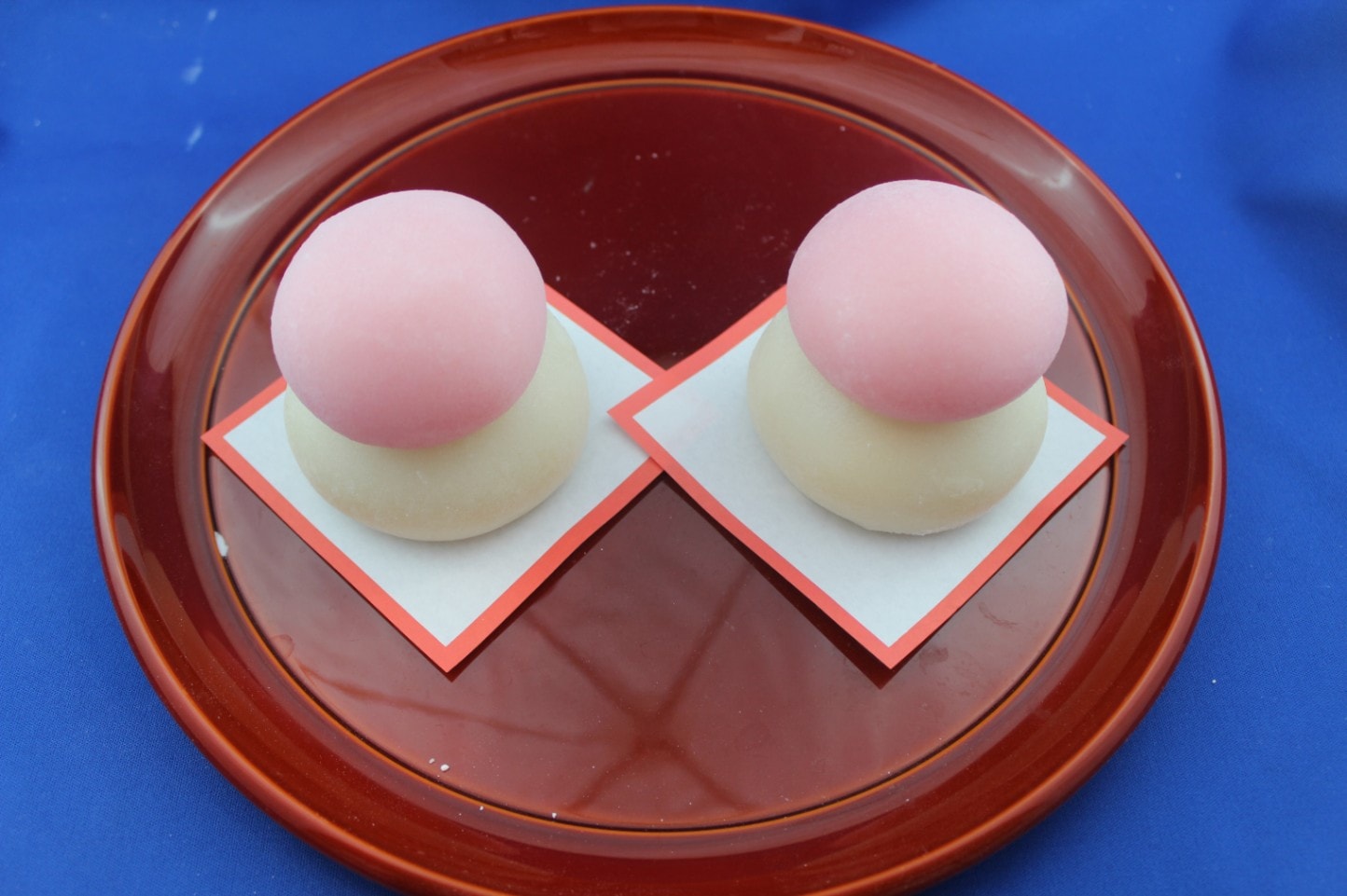 おもちさま専用 おもちさん専用 おもちさん専用 おもち 様 zx(おもち