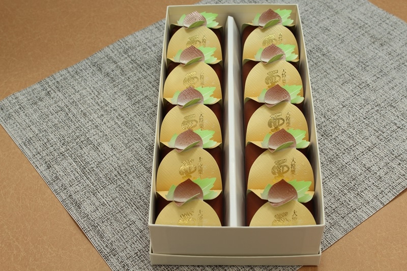 ���ι�10����