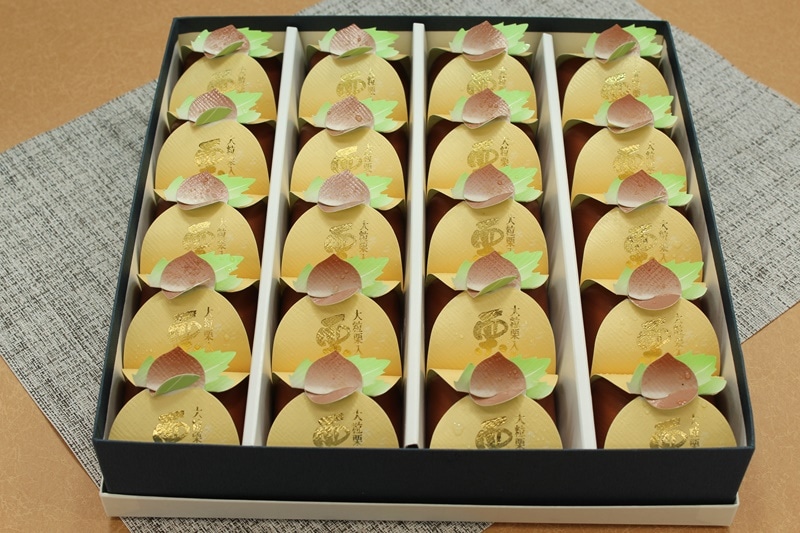 ���ι�20������