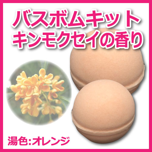 �ڥХ��ܥ७�åȡۥ���⥯����