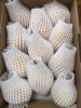 ルレクチエ 自家用4kg(玉数指定できません。)