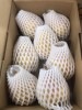ルレクチエ 自家用2kg(玉数指定できません)