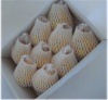 ル・レクチエ 贈答用3kg8〜9個入り(化粧箱)