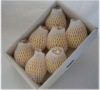 ル・レクチエ 贈答用3kg7個入り(化粧箱)