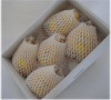 ル・レクチエ 贈答用3kg5個〜6個入り(化粧箱)