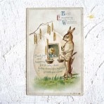 ƥݥȥ  ޤ㤦 gh-186