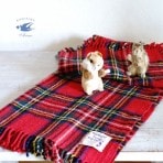 ������ơ��������ƥ��å��奿����������å��֥�󥱥å�150��125cm��1960ǯ�庢��gd-197