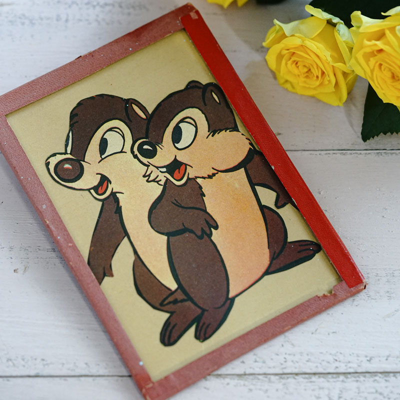 饹ե졼ݥȥɡӡС֥饶 1950ǯ塡gh-244