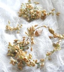 ����ƥ������֥饤�����ѥ�å����ե�3�����å�1900��20ǯ�庢��ga-967