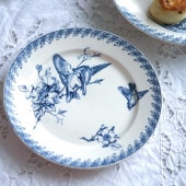 Vermont et BlanchetĻ餷줿ʿ W22.5cm gc-1045