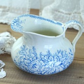 �ե�󥹥���ƥ������֥롼�Τ��֤Υԥ��� 19CȾ�С����gc-1213