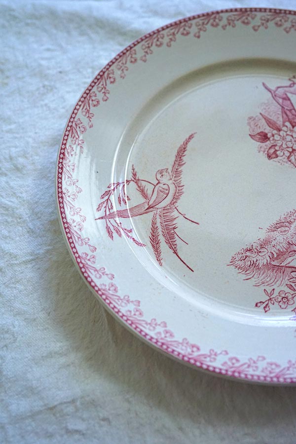 フランスアンティーク ペクソンヌ 鳥 PEXONNE Oiseauxのプレート22.5cm