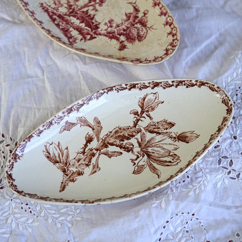 Gien Cactus������ ���ܥƥ�Υ������19C�� �ߥ�ȥ���ǥ������ gc-1415