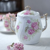 �������������ե�󥹥ԥ󥯤Τ��֤Υ��奬���ݥåȡ�gc-1458