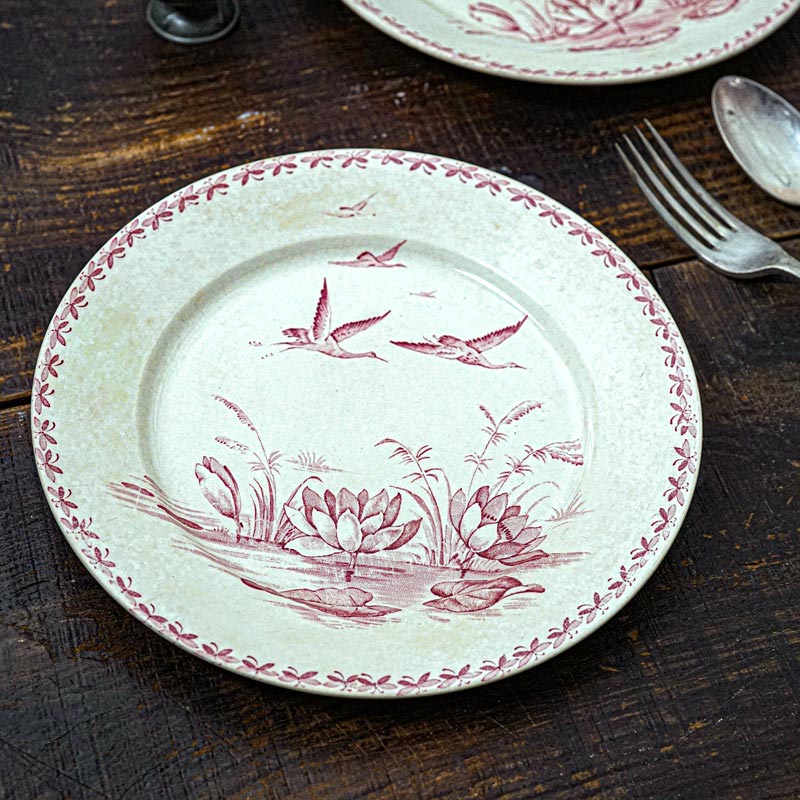 Badonviller Nénupharバドンヴィレー 睡蓮 平皿24×2.5cm gc-1543