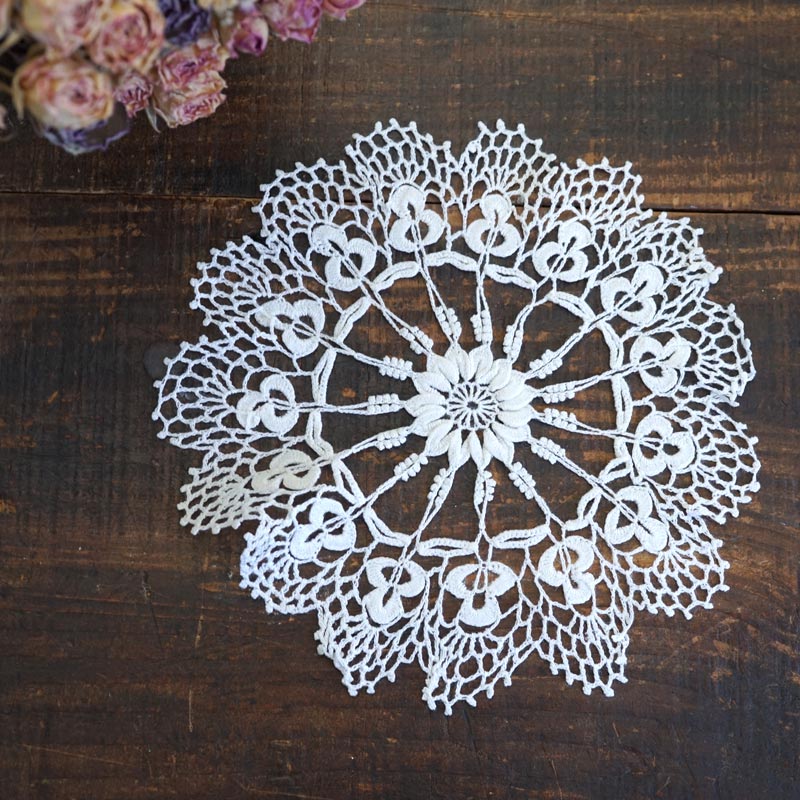 ϥ󥬥꡼Τȷݥå졼ޥåW18cmgla-1885