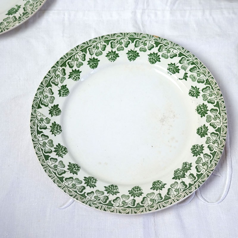 ѤܥХɥΥBadonviller TrfleǥȻ21cm gc-1893