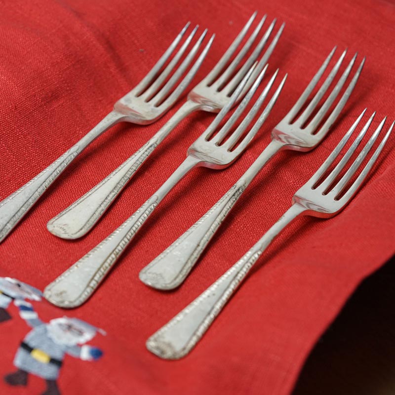 �ڥۥ�ǡ������������ۥ����ꥹ������С��ץ졼�ȥǥ��ʡ��ե�����5�ܥ��å� gc-1907