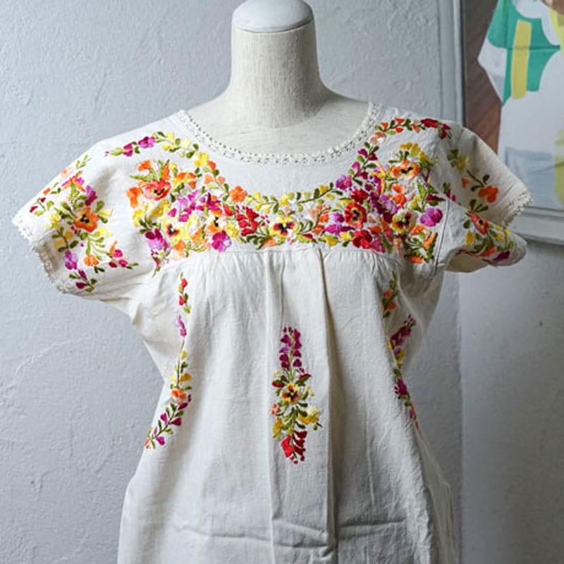 �ᥭ������̴�����󡦥���ȥˡ���¼�Υޥꥢ����Υѥ󥸡��ɽ��֥饦�� gd-277