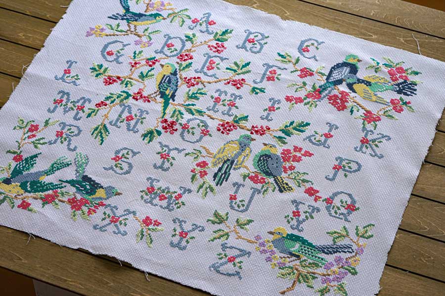 Ļ�ȥ���ե��٥åȤΥ������ƥå��ɽ�����ץ顼60-51cm ge-965