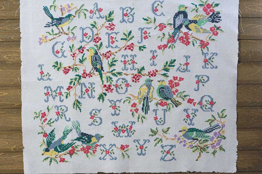 Ļ�ȥ���ե��٥åȤΥ������ƥå��ɽ�����ץ顼60-51cm ge-965