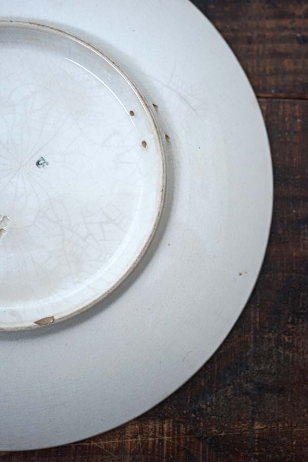 サルグミンヌ サルグミンヌカップソーサー - ANTIQUE LEAVES