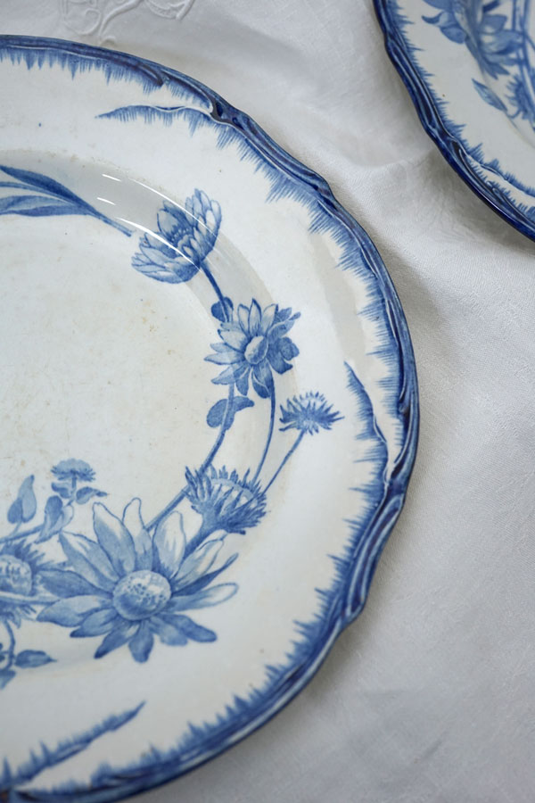 ���쥤����ȥ����θ������������ο���26cm19C���  gc-1469