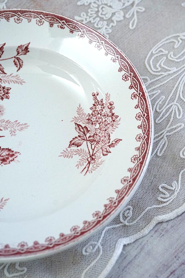 ����ƥ�����St��Amandinoise�Υܥ��˥��������ե����׻� 22��3.5cm gc-1152