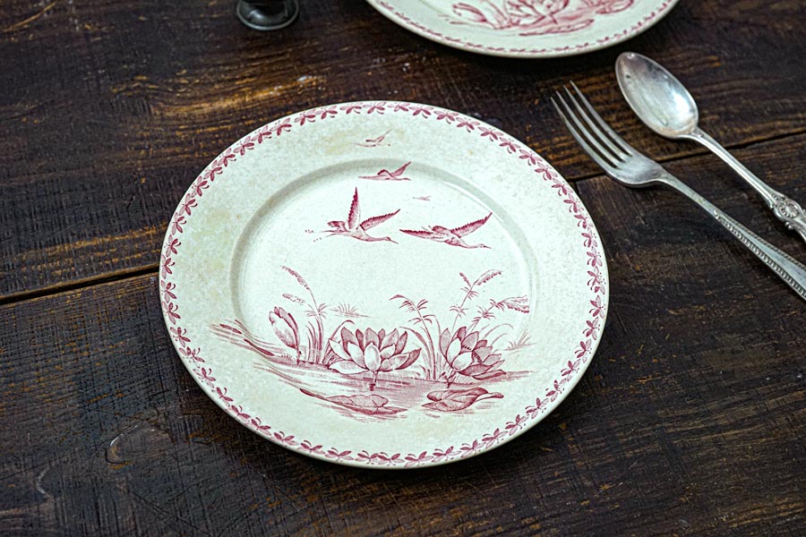 Badonviller Nénuphar�Хɥ�����졼 ��ϡ ʿ��24��2.5cm gc-1543