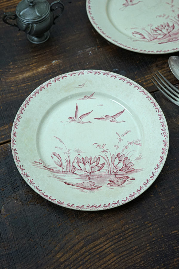 Badonviller Nénuphar�Хɥ�����졼 ��ϡ ʿ��24��2.5cm gc-1543