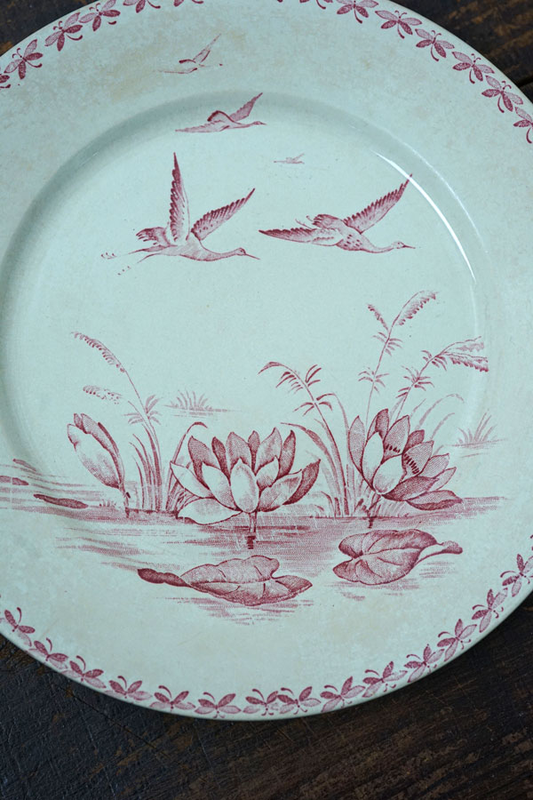 Badonviller Nénuphar�Хɥ�����졼 ��ϡ ʿ��24��2.5cm gc-1543