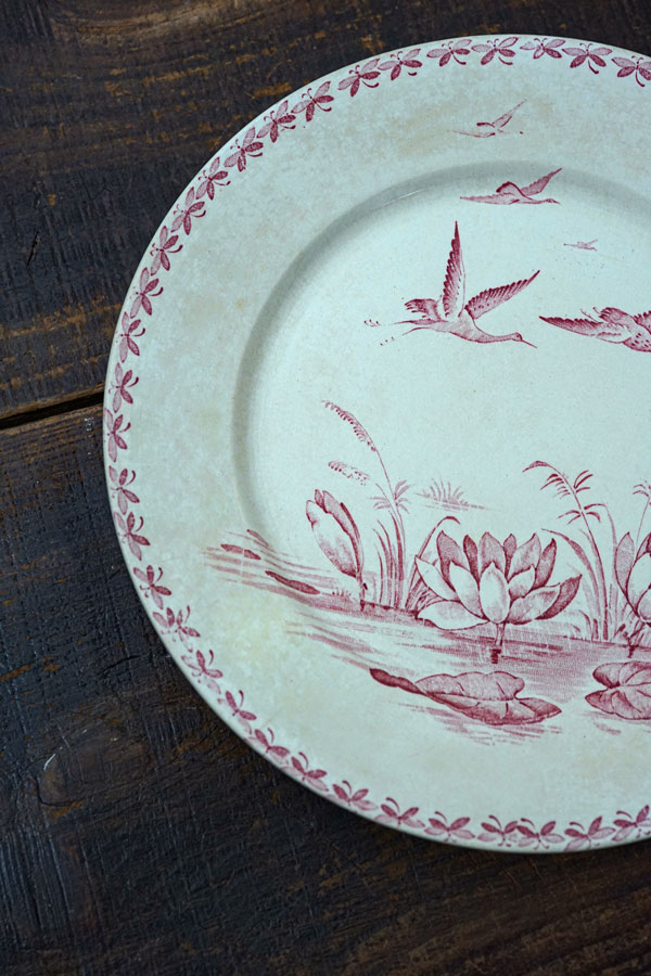 Badonviller Nénuphar�Хɥ�����졼 ��ϡ ʿ��24��2.5cm gc-1543