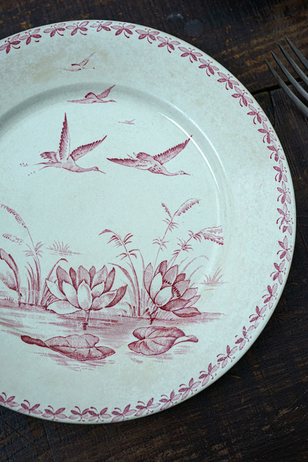 Badonviller Nénuphar�Хɥ�����졼 ��ϡ ʿ��24��2.5cm gc-1543