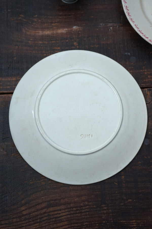 Badonviller Nénuphar�Хɥ�����졼 ��ϡ ʿ��24��2.5cm gc-1543