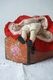 �٥륮���ǽв�ä���������ɤ�̱²�����ν��λ�28.5cm gt-1147