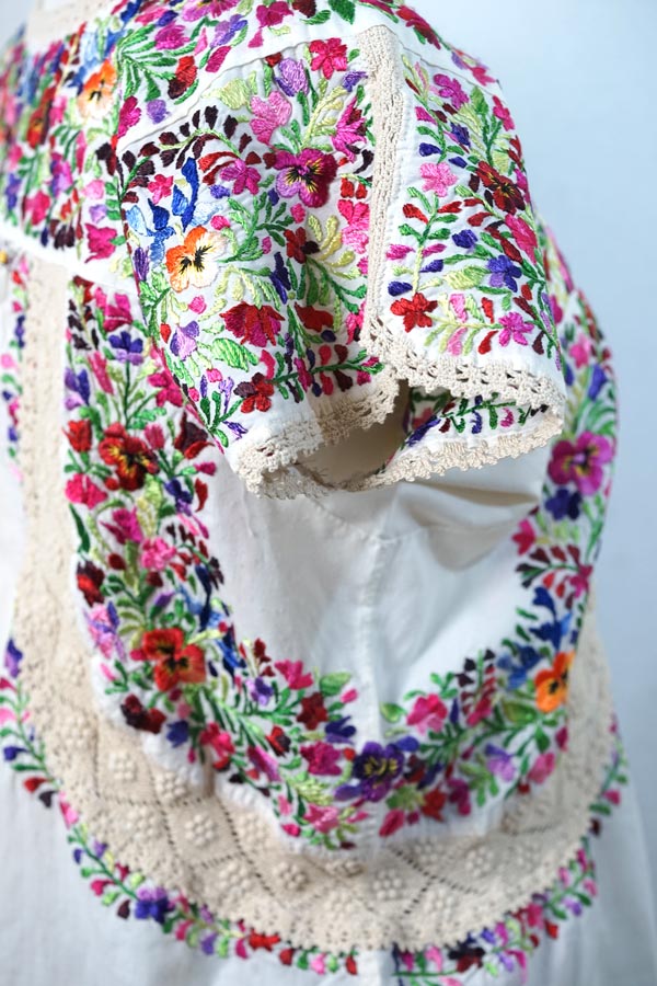 �ڥᥭ�����ɽ��۹�����Ƥֱ��ȸ���Υѥ󥸡���̾���ޥꥢ����κǹ�饵�󥢥�ȥˡ��Υ֥饦���ʥ����ᡦ�����ץ��ǥ���gd-284