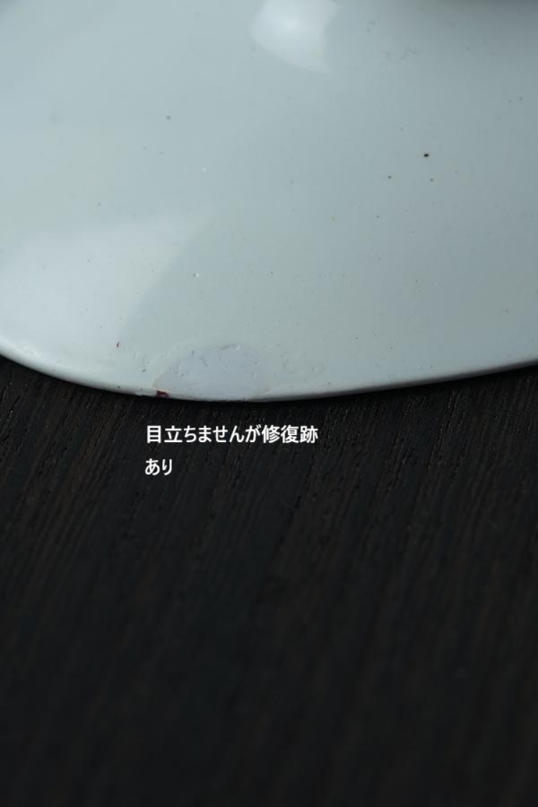 �û�Υ������ɥ�����դ���Ũ��Salins�Υ������24.5��14��2.8cm gc-1771